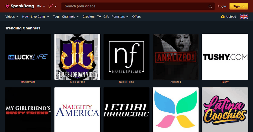Encouraging Your Favorites: Ethical and Effective Ways to Assistance Adult Sector Entertainers