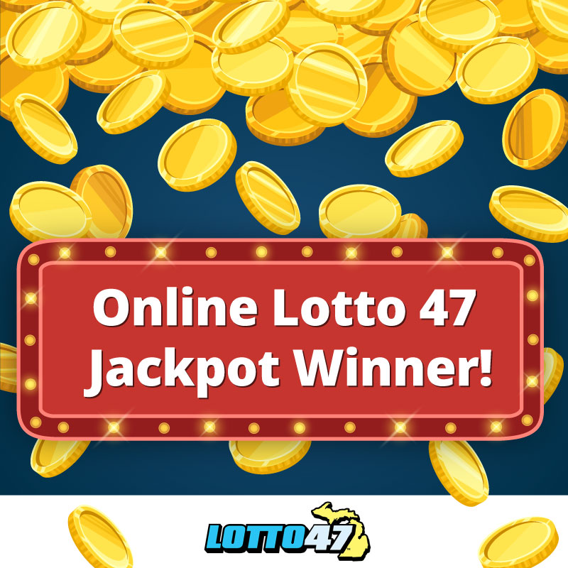 Rollino Gambling Enterprise Testimonial (2025) - Player Ratings & Our Judgment