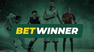 Understanding the BetWinner Login Process A Step-by-Step Guide