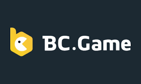 Understanding the Functionality of the BC App Your Guide to Effective Management Understanding the Functionality of the BC App Your Guide to Effective Management