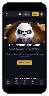 Exploring Bitfortune Crypto Cashouts and Stablecoin Payments